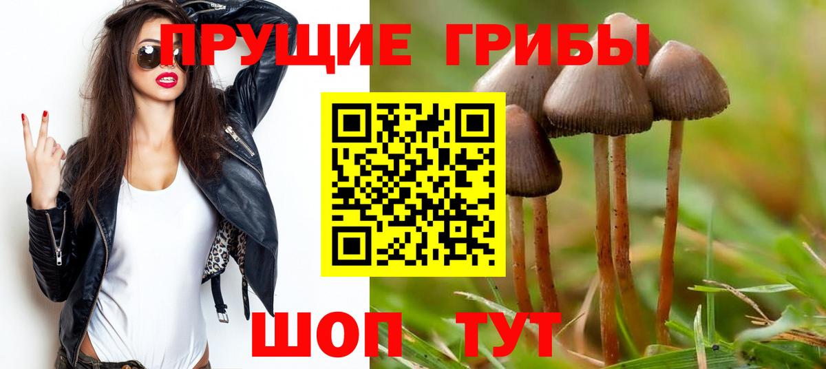 Галлюциногенные грибы прущие грибы Звенигород
